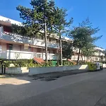 Auriga * Bibione