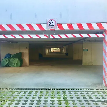 Auriga * ביביונה