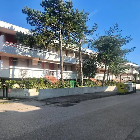 Auriga * Bibione