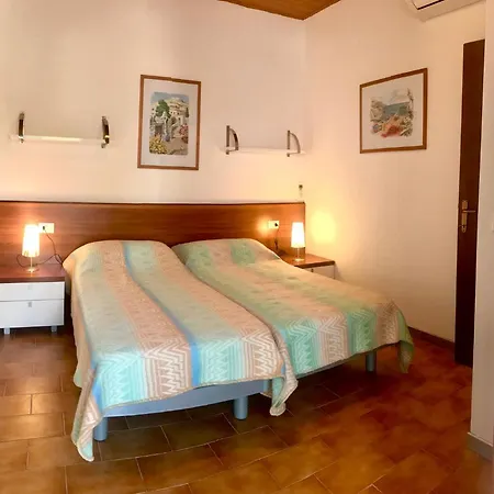 Auriga * ביביונה