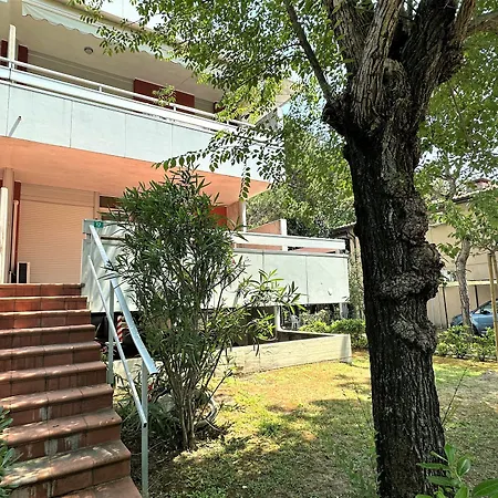 Auriga ביביונה